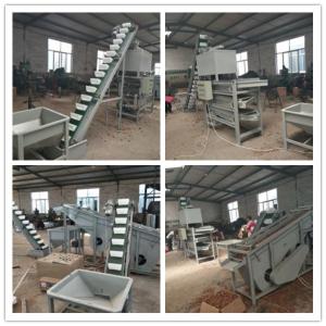 China walnut processing line, walnut shelling machine, walnut cracker wholesale