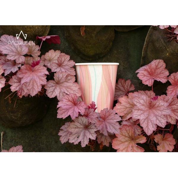 Extra Protection Coffee Paper Takeaway Cups With Additional Sleeves