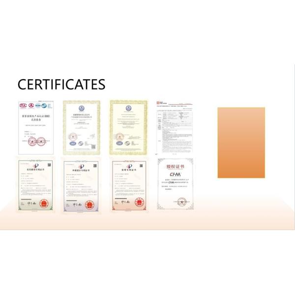 Rapidsecure Autoguard Seat Belt Buckle with Easy Release Mechanism