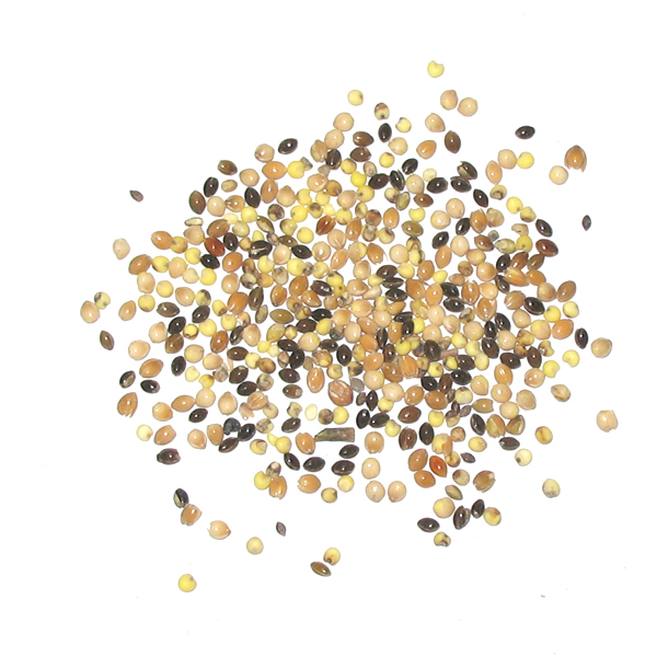 Wenyao AI Electronic Colour Sorter Seed Sorter Machine Rice Paddy Color Sorter Machine