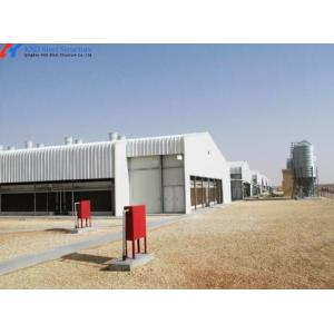 Steel Structure Poultry House with Automated Feeding and Ventilation Systems