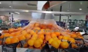 China Automatic Orange Fruit And Vegetable Packaging Machine With Net wholesale