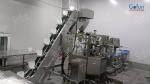 Apple chip freeze drying machine processing line Intelligent temperature control