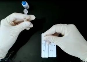 China Colloidal Gold SARS-COV-2 15min IgM IgG Test Kit wholesale