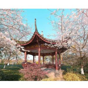 China Custom Chinese Garden Antique Design Solid Leisure Pavilion WaterProof wholesale