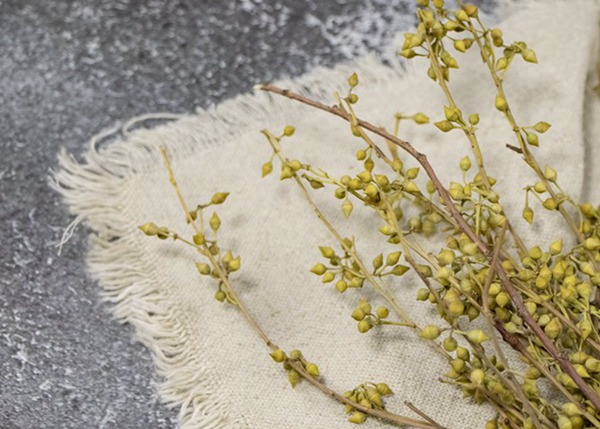 Oilproof Personalized Dinner Napkins , Cotton Linen Dinner Placemat With Washed Edges