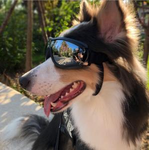 China Uv Wind Dust Protection 0.5kg Dog Sunglasses With Adjustable Strap wholesale