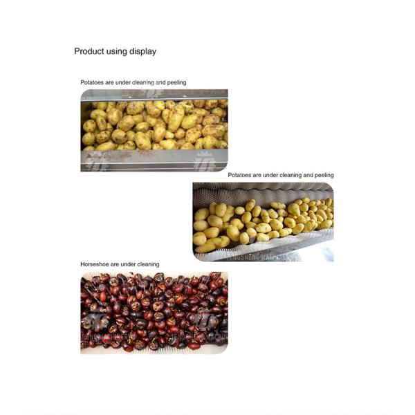1500KG/H Sweet potato hair roller cleaning machine carrot automatic peeling cleaning potato peeling machine