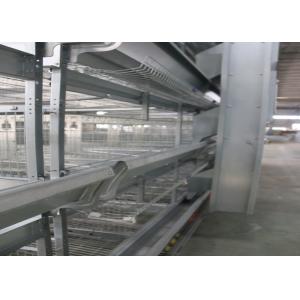 China Healthy Automated Poultry Equipment Good Daylight And Ventilation wholesale