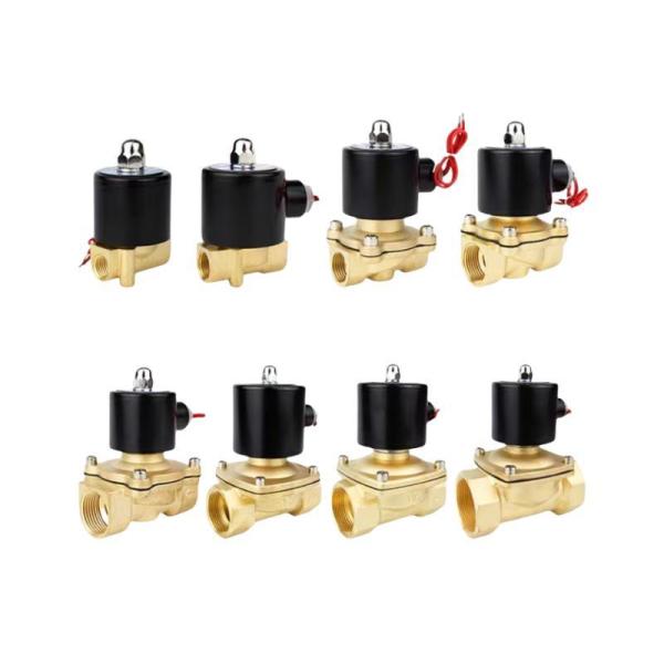 2W Brass 24V 220V Volt 12V Normal Closed Solenoid Valve