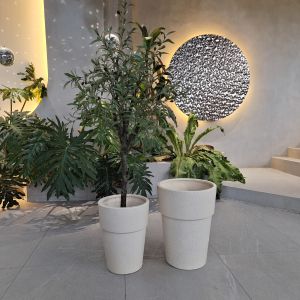 Customized Fiber Cement Pot With Hand Carved Finishing The Ultimate Plant