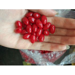 China Softgel Oil Capsule Automatic Vgel Encapsulation Machine Pharmaceutical With Tumble Dryer wholesale