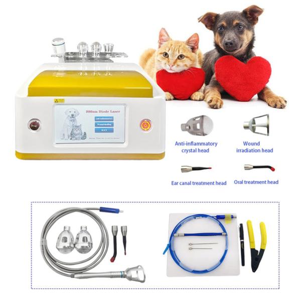 Pets Pain Recovery Surgical 980nm Diode Laser Veterinary Therapy Laser Device