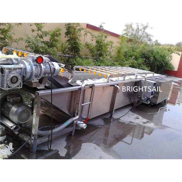 1750kg Fruit Frequency Control Vegetable Bubble Washer