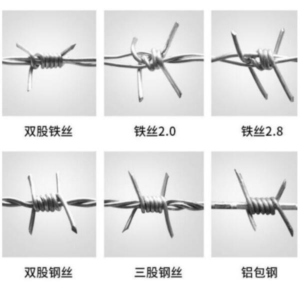 Standard Galvanized Reverse Twist Security Barbed Wire Factory Direct