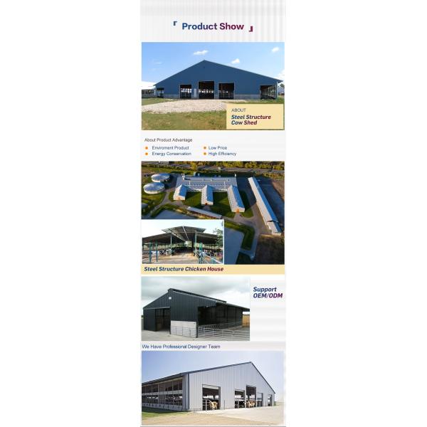 Wind Resistant Steel Structure Building Cow Shed Cattle Farm Construction OEM Size