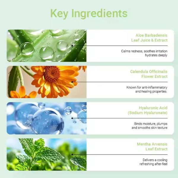 Private Label 2-in-1 Exfoliating Body Scrub & Wash Aloe Vera HA Blue Wind Chime Fragrance for Deep Hydration Smooth Bright Skin