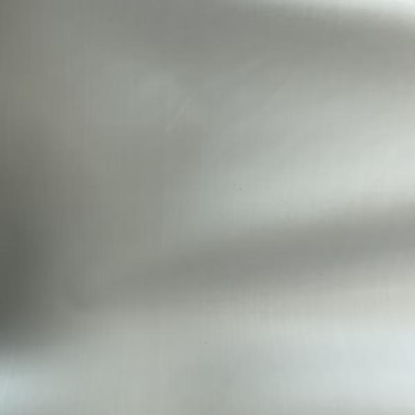 82GSM 100%N 40D*40D Nylon fabric