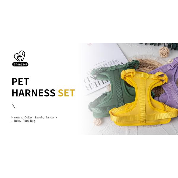 Personalized Custom Dog Cat Harness Sets Adjustable No Pull Luxury Designer Collar and Leash Set with Custom Colors