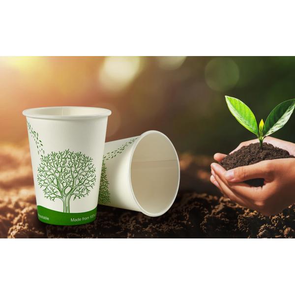 PLA cups