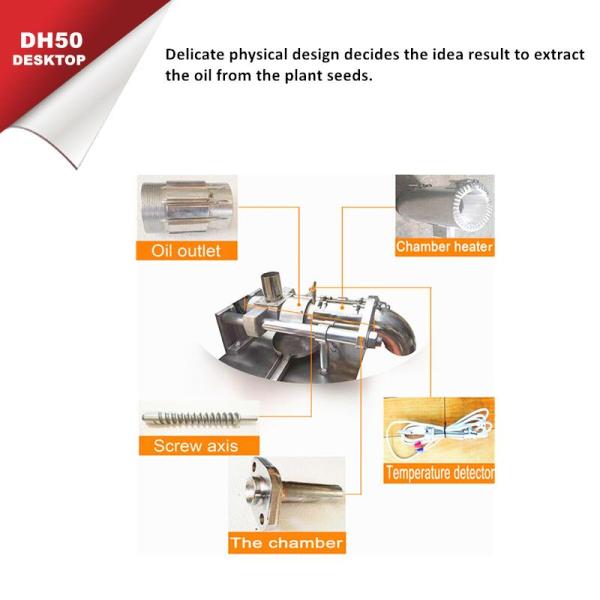 20kg/Hr 1.5kw Small Scale Groundnut Oil Extraction Machine Safflower Sesame