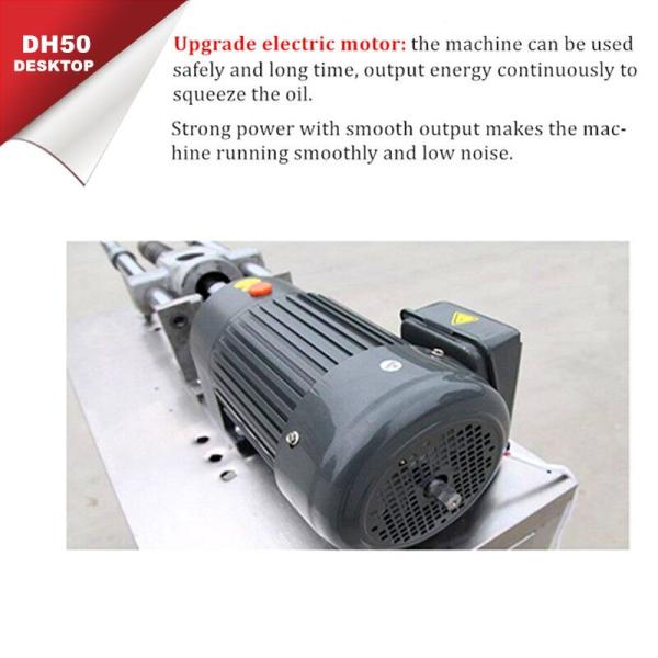 20kg/Hr 1.5kw Small Scale Groundnut Oil Extraction Machine Safflower Sesame