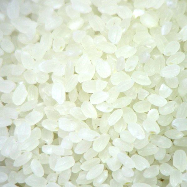 Wenyao AI Electronic Colour Sorter Seed Sorter Machine Rice Paddy Color Sorter Machine