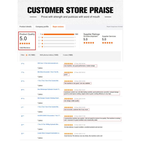 Customizable Small Spider Crane 3t Mini Crawler Crane 16.8m Span