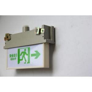 China 3w Flameproof Emergency Light with IP65 Degree and Customised Surface Pattern wholesale