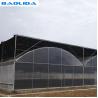 Multi Span Mental Pipe Plastic Tomato Greenhouse Doom For Agriculture for sale