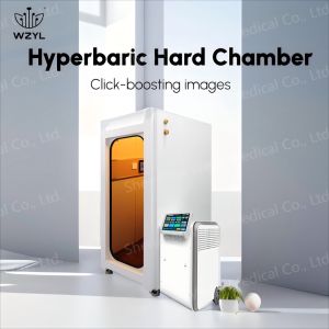 China Reduce Fatigue Hard Hyperbaric Chamber 96% High Purity Oxygen wholesale
