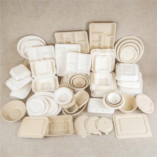 2 3 4 Compartment to Go Takeaway Packaging Biodegradable Take Away Paper Food Container with Bio Lid