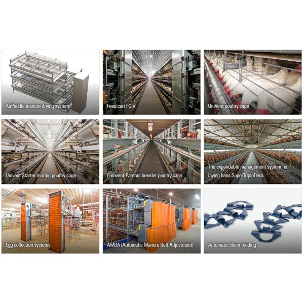 Prefabricated Livestock Shed Design Steel Structure Poultry House for Cow Pig Cattle Barn