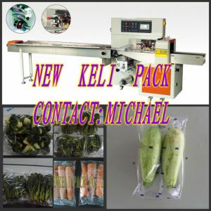 China fresh cucumber packing machine flow wrapping machine wholesale