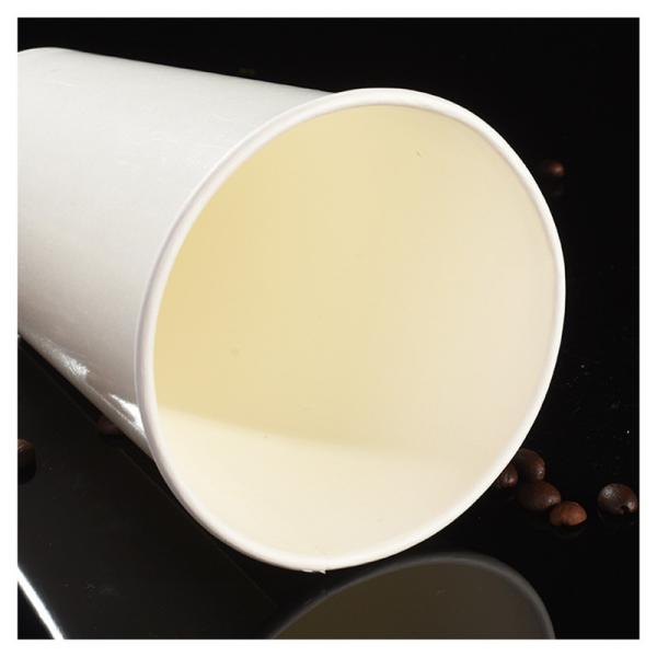Biodegradable 14oz 22oz Custom Disposable Coffee Cups CMYK Printing