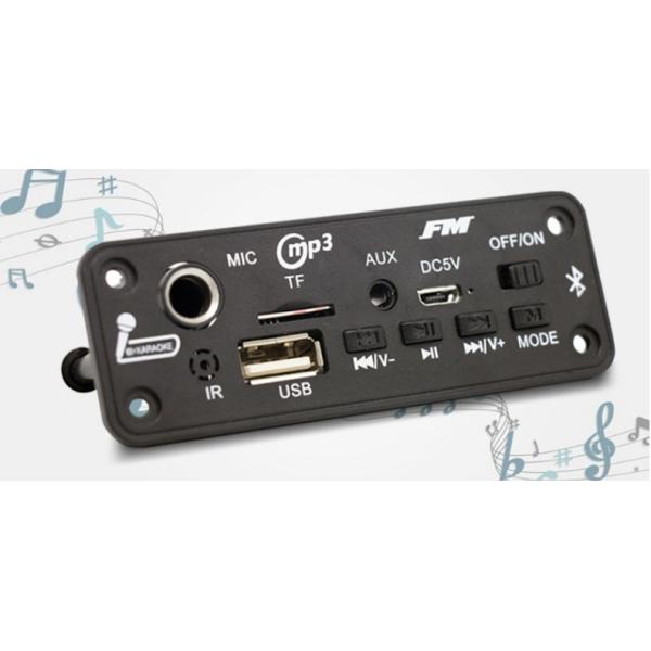 2X3W BT 5.0 Card Style Decoder Board for Audio FM Radio E-Book Reading and Screen Easy