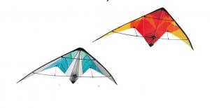 China Oem 170*70cm Dual Line Sports Delta Stunt Kite with Woven Roving Material on sale