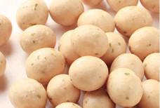 China New Arrival Product Seaweed Wasabi Peanuts Coated Roasted Snacks wholesale