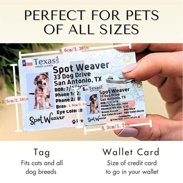 Custom DIY Sublimation MDF Dog Tag Blanks ID Anti-Lost Card Heat Transfer Blank PET License Tag For Pet