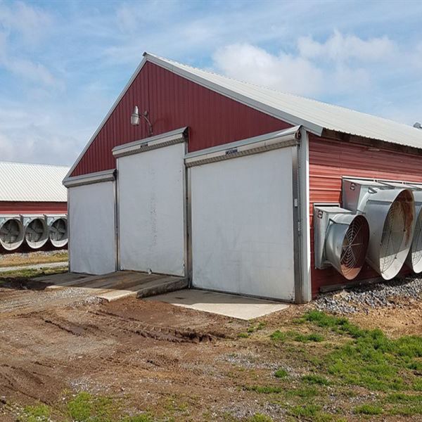 Quality H Beam Steel Structure Poultry House with Bolts Connection for sale