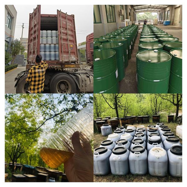 Wholesale Natural Bee Honey Sidr Honey 100% Natural Bee Products from China