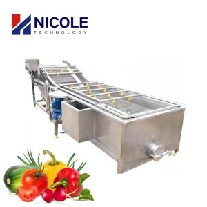 China SS Automatic Fruit Vegetable Cleaning Machine Air Bubble 220V 415V 440V on sale