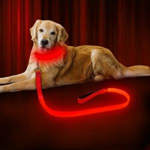 China USB Rechargeable LED Dog Leash , LED Reflective Pet Leash 47.2 Inch 120cm on sale