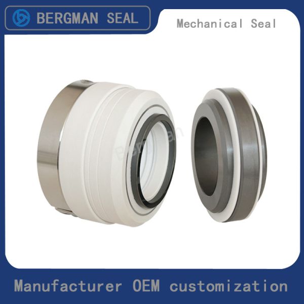 Original TM-20/25/28/32/40mm Corrosion Resistant Chemicals Pump Mechanical Seal