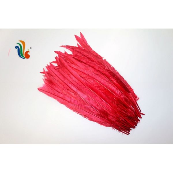 Party Decoration Nandu Plumes Feather Dyed Pattern for Worldwide Shipping