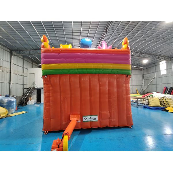 Tarpaulin Inflatable Water Slides Cartoon Themed Kids Water Jumping Castle