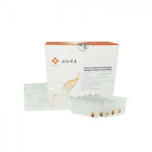 China ISO13485 Nucleic Acid Extraction Kit Magnetic Bead DNA RNA Extraction Kit wholesale