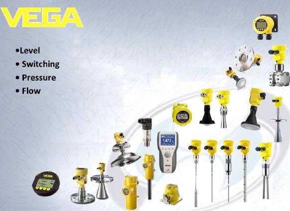 VEGA VB61.XXAGGRKMX VEGAVIB 61 Vibrating level switch for granular bulk solids