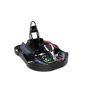 China 90km/H Kids Electric Go Karts wholesale