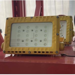 China Zone 21 Explosion Proof LED Panel Light – Flameproof Emergency Lighting with Toughened Glass for Hazardous Areas wholesale